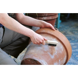 Szczotka ręczna 3-rzędowa 200 mm Wolfcraft - drut stalowy