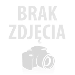 Tarcza lamelkowa 125 mm Wolfcraft - z włókniną / szlifowanie delikatne [1 szt.]